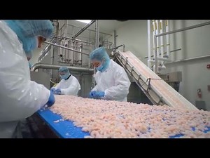 Coldwater Pink Shrimp | Processing