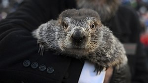 Punxsutawney Phil predicts six more weeks of winter for 2023