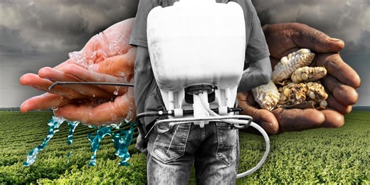 Agricultura mexicana: el desafío de disminuir el impacto ambiental y la vulnerabilidad ante el cambio climático