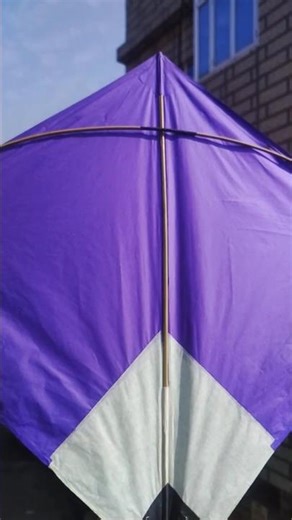 Aaj to Patang loot Li❤️ #kite #kiteflying #patang #patangbazi #shorts