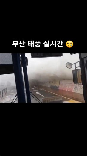 부산 태풍 힌남노 실시간 상황 보고