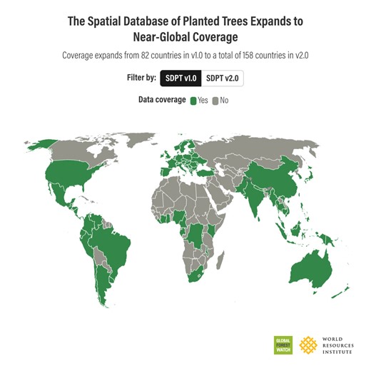 A new version of the Spatial Database of Planted Trees is now available on GFW! The updated planted trees map incorporates new national and global data, nearly doubling geographic coverage to 158 countries. 🌎🌍🌏 With near-global coverage, the Spatial Database of Planted Trees (SDPT) enables users to spatially differentiate planted forests and tree crops from natural and seminatural forests globally. Read our new blog to learn more: https://gfw.global/3DG42tN Check out the data! https://gfw.glo