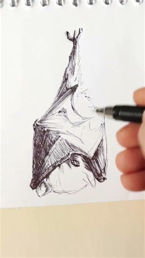 Cute Bat Sketch | Hanging on a Leaf