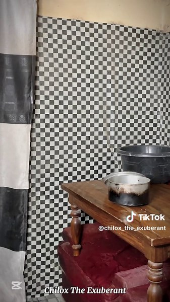 We Joined The Viral Funny video 🤣🤣🤣 #foryou #fyp #goviral #chiloxtheexuberant #funny