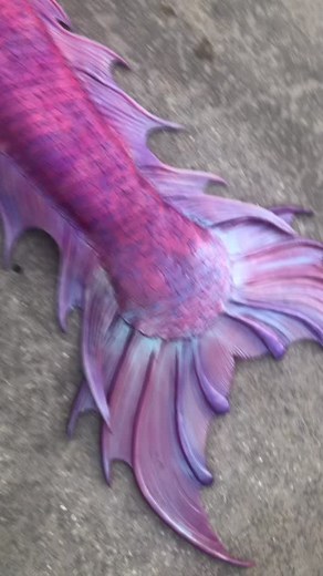 2.9K views · 229 reactions | ✨ Pink, bold, and absolutely magical ✨ Our Odyssey Mermaid Tail is giving full color-shifting mermaid vibes—and it’s just one of the many ways to treat yourself at Mertailor. From stunning tails to matching accessories, there’s something for every mermaid dream. Because the ocean isn’t the only thing that deserves to sparkle ✨ | Mertailor Mermaid Tails By Eric Ducharme | Facebook