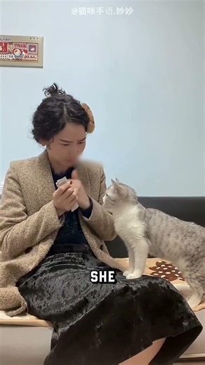 This Cat Learned Sign Language 🥺#cat #story