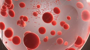 A realistic 3D animated video showing red blood cells flowing through capillaries, delivering oxygen to body tissues. The animation zooms into the cells, revealing hemoglobin molecules binding and rel