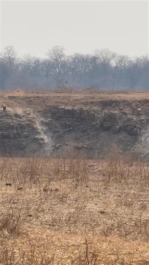 2.1M views · 40K reactions | Awesome kudu bagged yesterday at Legadema's Mozambique concession. | Legadema Hunting & Safaris - Mozambique & South Africa | Facebook