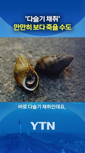 다슬기 잡다 '사망' #shorts / YTN