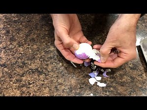 Peeling Hard-cooked Eggs