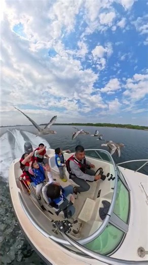 A duck running at high speed before taking flight at the finish line