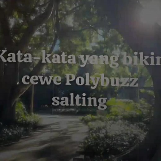 Mengenal Polybuzz: Cerita Fiksi Menarik