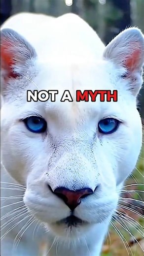 Why the World’s RAREST White Lion is Nature's Best Security 😱 #wildlife