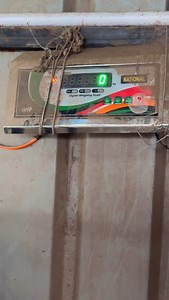 41K views · 419 reactions | TALK LESS, WORK MORE 狼 | Sabri Goatfarm | Facebook