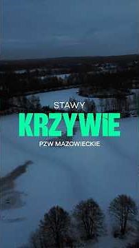 GDZIE ŁOWIĆ? WĘDKARSKA MAPA POLSKI #9 - STAWY KRZYWIE - PZW MAZOWIECKIE
