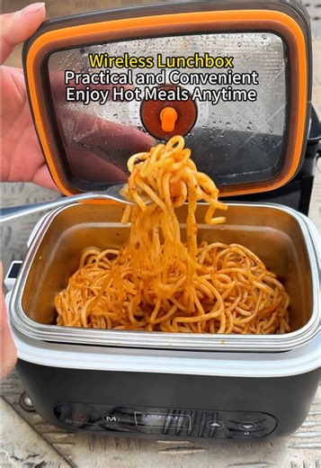 Cordless Lunch Box with Timer for Hot Meals Anywhere