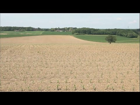 How drought episodes affect France • FRANCE 24