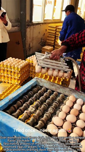 Making Century Eggs from Scratch – Like Magic! 🥚✨