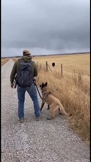 Dog protects its owner from a panther | AI Going Wild
