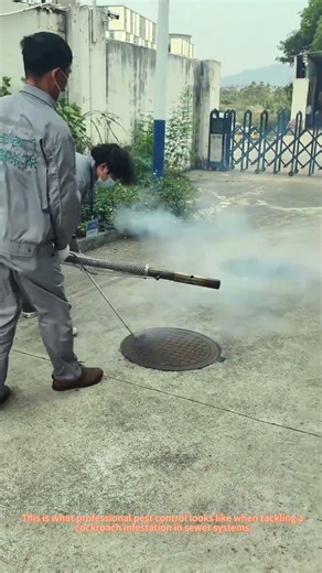 Thermal Fogging Sewer Cockroach Control