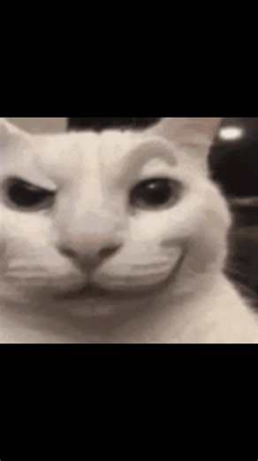 Top Memes Français à Découvrir