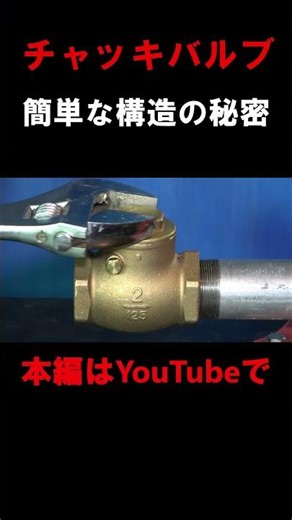 簡単な構造チャッキバルブの秘密 #配管 #工具 #diy
