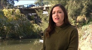 5.6K views · 26 reactions | The State Government will spend $5.3 million to help Tamworth get through the "worst drought on record". | 7NEWS New England | Facebook