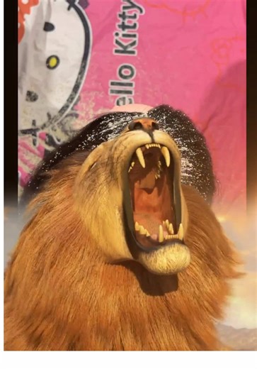 Thank You for Your Support: Grateful Message