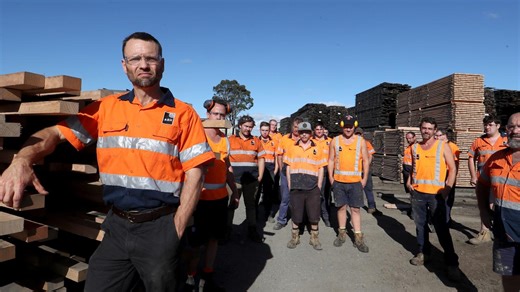 ‘Not much choice’: Timber plans gutted