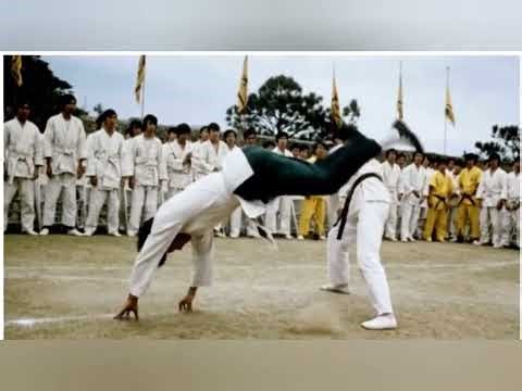 Beautiful fight seens/ Bruce Lee