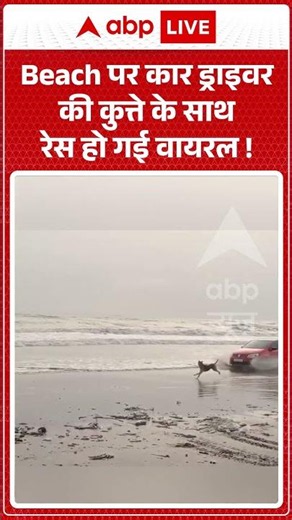 Viral Video : Beach पर कार ड्राइवर की कुत्ते के साथ रेस हो गई वायरल ! | #NalasoparaNews #RajodiBeach