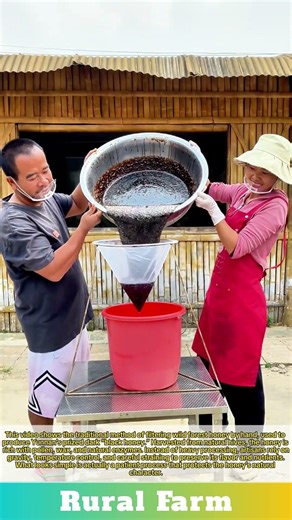 Traditional Methods Filtering Forest Honey by Hand: The Secret to Yunnan’s Rare Black Honey Pure
