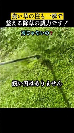 ヤバすぎる雑草も一瞬で粉砕する草刈りの威力！