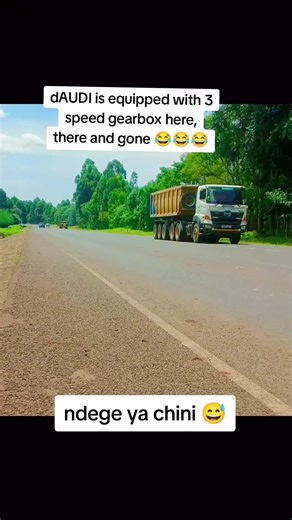 w.calvo (@w.calvo)’s videos with original sound - w.calvo