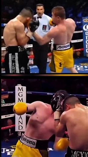 The Deadliest Left Hook You’ll Ever See! 😴 #boxing #ufc #ko