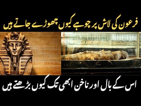Pharaoh Mummy in Egypt Museum | Mysterious Secrets of the Ancient Kings"