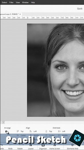 Amazing Pencil Sketch Effect in Photoshop Elements You Can Do in Minutes!