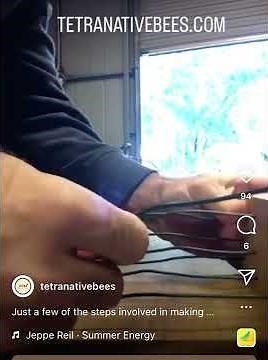 Making A Vertical Split Native Stingless Bee Hive