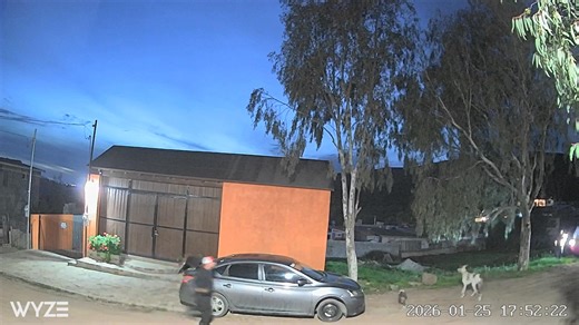 When Papi Chula and Ricky gets loose poor Juan spent 20 minutes chasing them in neighborhood and as I was watching the game I was wondering why so many dogs were barking. 😂 He came into Papa’s house out of breath and said to me “Do you not hear all the commotion going on.” I said kinda. 😂 #herculeslives | Shorty Rossi