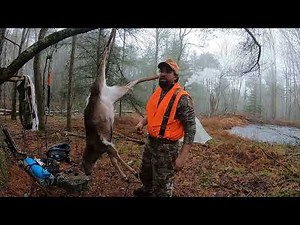 FIELD DRESSING DEER ( Hanging up Vs On the Ground)