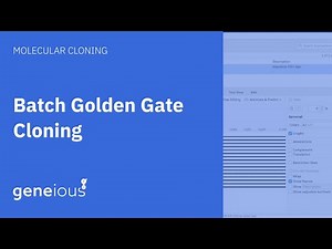 How to Perform Batch Golden Gate Cloning with Geneious Prime