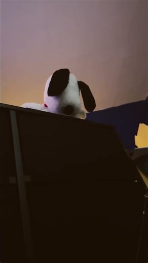 How did he get up there #funny #memes