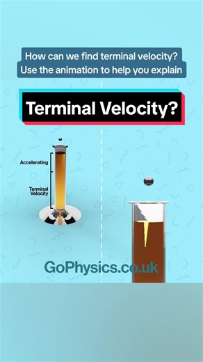 Exploring Terminal Velocity Through Animation