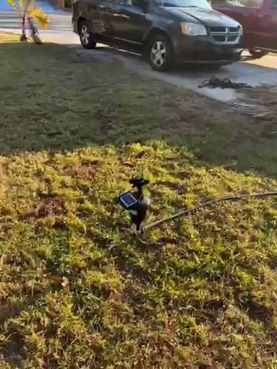 TRURID Motion Activated Sprinklers for Yard - Effective Deer & Cat Repellent, Skunk Deterrent, Racco