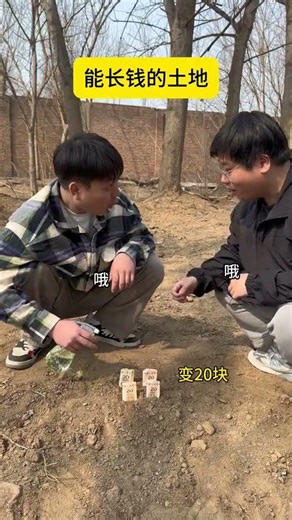 Land Riches: 3 Hilarious Punches for Profit