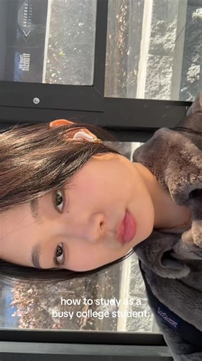 Effective Study Hacks for Busy College Students