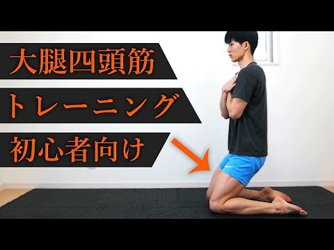 3 Minute Quad Workout for Beginner // No Equipment