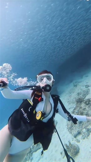 POV: You’re trying to have a moment 🌊🚫 I’m officially being haunted by a pufferfish with a dream.