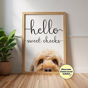 Funny Cockapoo 'hello Sweet Cheeks' Poster: Bathroom Dog Wall Art, Apricot Cockapoo - Etsy Australia