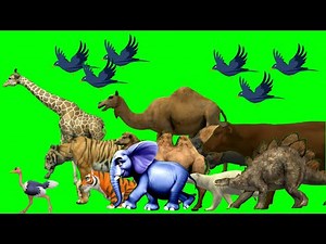 animal stampede part - 1 | animals stampede green screen | animal version | mammoth run